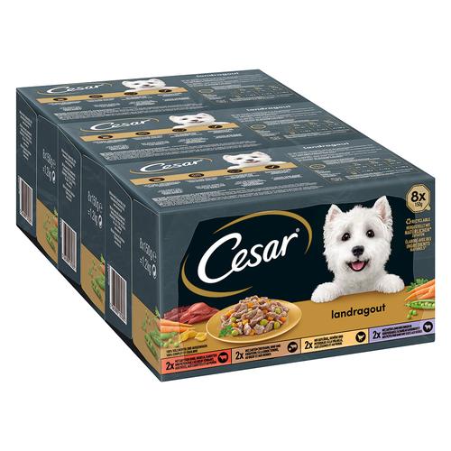 48x 150g Country Kitchen Favourites Cesar Hundefutter nass
