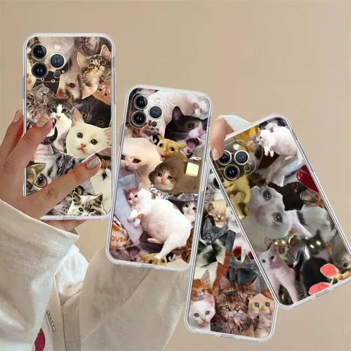 Weinende Katze Memes Handy hülle für iPhone 14 13 12 Mini 11 Pro xs max x xr se 6 7 8 plus weiche