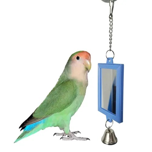Vogelspiegel mit Metallglocken Nymphensittich-Sittich-Spiegel für Käfig Vogelspielzeug