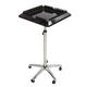 salon cart Salon Trolley Stainless Steel Salon Rolling Cart Hair Extension Tool Tray Trolley Cart With Casters For Barber Salon Cart Portable