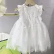 Hochzeit Prinzessin Kleid Kind Mädchen Kleidung Schmetterling Mesh Geburtstags feier Kostüm