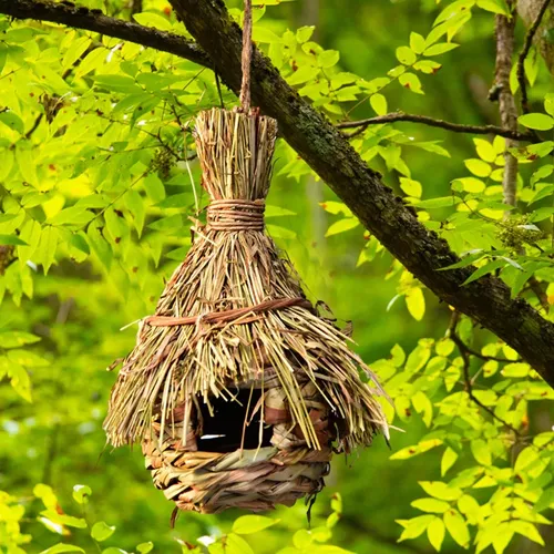 6 Stil Vögel Nest Vogelkäfig Naturrasen Eier käfig Vogelhaus im Freien dekorativ gewebt hängenden