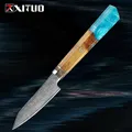 Couteau à fruits en acier Damas avec manche en résine et bois couteau d'office japonais couteau de