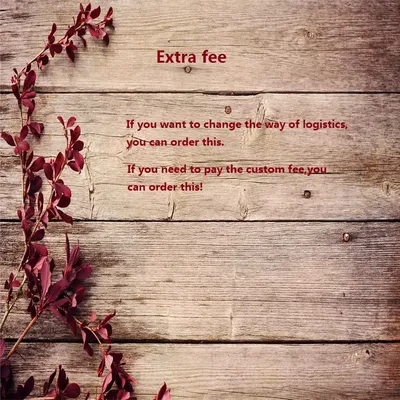 Extra fee(Extra shipping cost or Extra custom fee)