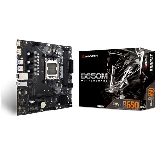 BIOSTAR Mainboard 