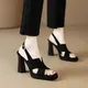 Sandali stile donna tacco spesso 2024 estate nuovo tacco alto in pelle opaca piattaforma