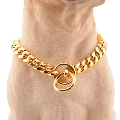 Luxus Hunde halsband Gold Hunde kette Halsreif für Pitbull Bulldogge Teddy Französisch Bulldogge