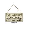 1pc Composite Board Pet Wooden Sign, Art Wooden Cat Sign Decoration, Indoor Cat Pet Wooden Sign