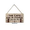 1pc Composite Board Pet Wooden Sign, Art Wooden Cat Sign Decoration, Indoor Cat Pet Wooden Sign