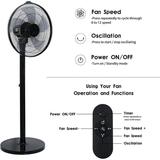Homlixry Pedestal Fan for Home 14.5 90Â° Oscillating Stand Floor Fan w/ 12 Speeds 9H Timer Air Circulator Fan for Indoor Home Office and College Dorm Use Black