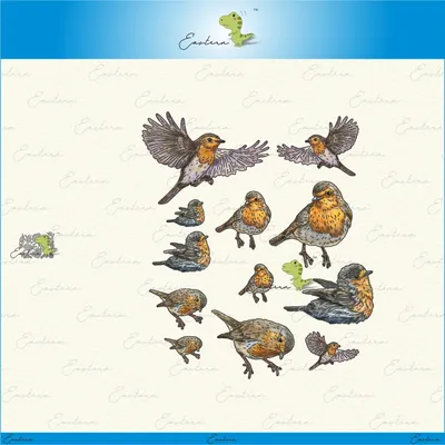 A Gathering Of Robins metal cutting dies 2022 new diy molds Scrapbooking Paper Making die cuts crafts Printed Sheet