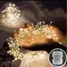 Luci fiabesche ghirlanda di filo di rame a batteria 100/200led Fairy Cluster petardi String Light