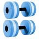 Mipcase 6 Pcs Water Barbells for Pool Water Aqua Fitness Dumbbells for Women Exercise Bands Resistance Handles Pool for Adults Swim Weights for Pool Exercise Dumbells Aerobic Child Spool