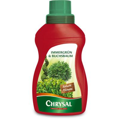 Chrysal - Immergrün & Buchsbaum Flüssigdünger - 500 ml Image