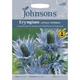 Johnsons Seeds - Pictorial Pack - Flower - Eryngium alpinum 'Superbum' - 50 Seeds