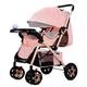 Outdoor Strollers Shopping Strollers Newborn Loungers Portable Strollers Folding Strollers High View Strollers Strollers with Seats 360° Lockable Infant Transport Strollers Pink