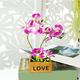 ROLTIN Artificial Flower with Pot Orchid Artificial Flowers in Pot Orchids Flowers Arrangements with Vase for Home Table Decor Small Artificial Plant Flower Arrangement Orchid