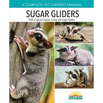 Sugar Gliders Complete Pet Owner S Manual