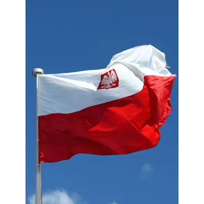 60X90 90X150cm The Poland Emble Flag For Decoration