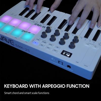 25-key Midi Control Keyboard Mini Portable Usb Key...