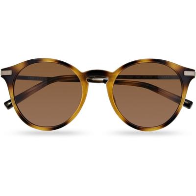 Ted Baker Ashton Sonnenbrille Herren