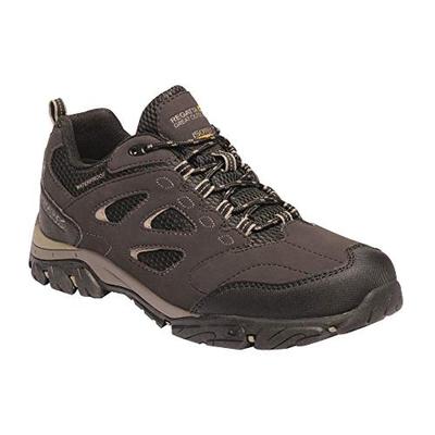 Regatta Herren Holcombe IEP Low Wanderschuhe (Torf/Gold Fawn) Image