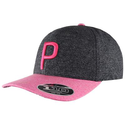 Puma Golf P110 Herrengrau Kappe Image