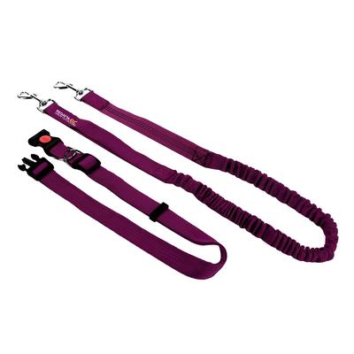 Regatta Hands Free Jogging Hundeleine (Azalia) Image