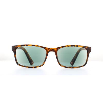 Montana Rectangle Unisex Havanna Grün Readers +3.00 Sonnenbrille