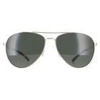 Smith Aviator Unisex Gold Grau Layback