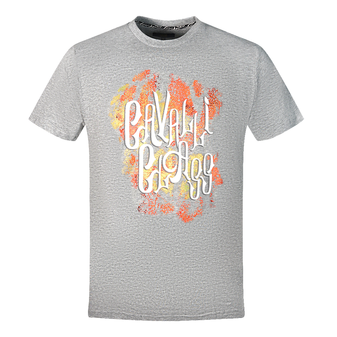 Cavalli Class Kühnes Logo Graues T-Shirt