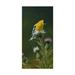 Trademark Fine Art Goldfinch On Thistle Canvas Art by Wilhelm Goebel