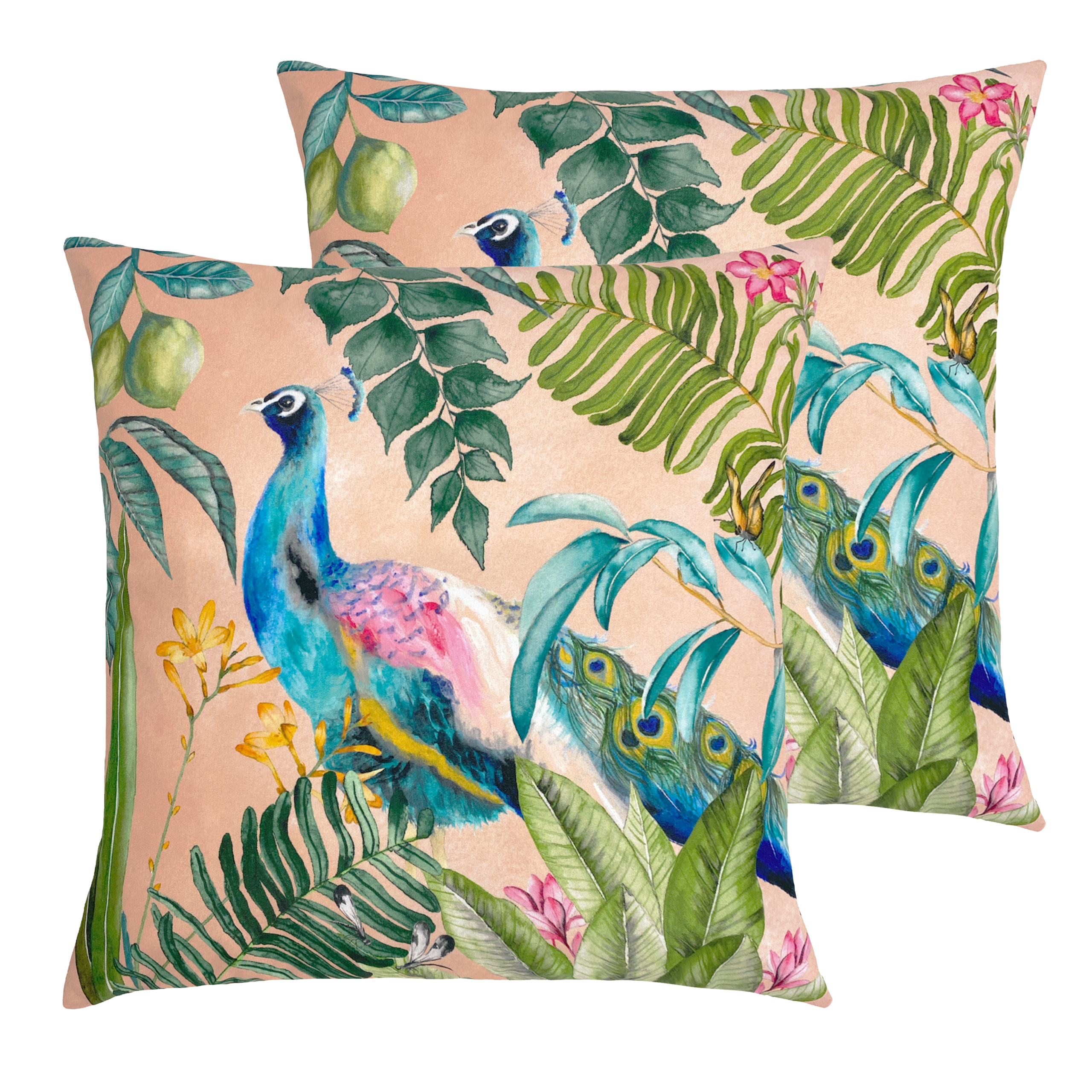 Evans Lichfield Peacock Outdoor Cushions (twin Pack) - Blush - One Size | Evans Lichfield Sale | Discount Designer Brands