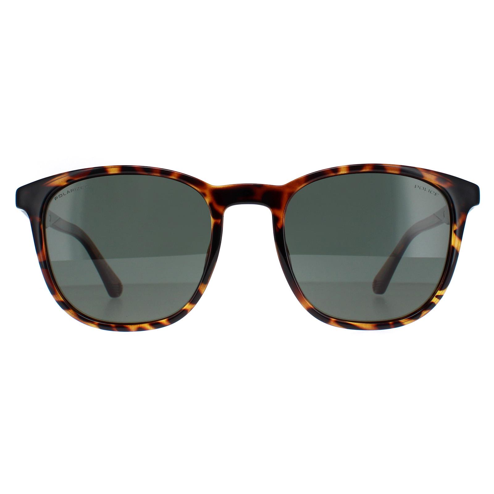 Police Round Mens Shiny Dark Havana Green Polarized SPLF18E - Brown - One Size | Police Sale | Discount Designer Brands