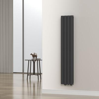 [neu.haus] - Designheizkörper Nore Schwarz 160x30cm Doppellagig 1006W Image