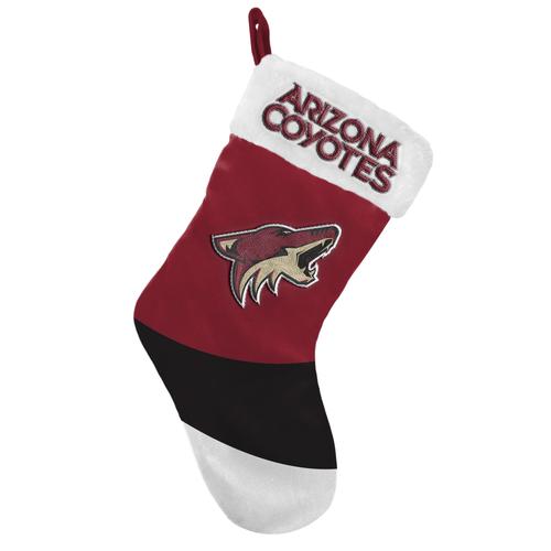 FOCO Arizona Coyotes Colorblock-Strumpf