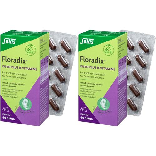 Salus Floradix Eisen plus B-Vitamine Doppelpack 2x40 St Kapseln