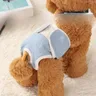 Pantaloni per la salute del cane Anti-molestie sicurezza Teddy igiene mestruale pantaloni per il
