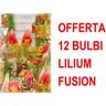 Offerta 12 bulbi lilium fusion bulbs