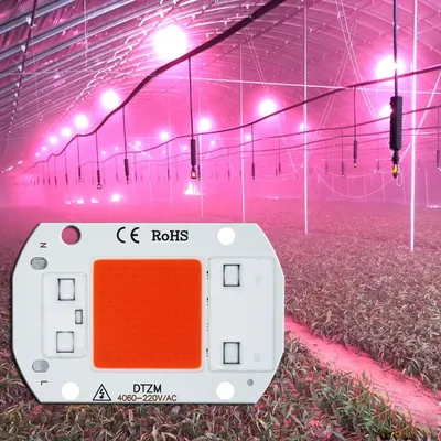 LED Grow COB Licht Chip Vollspektrum AC220V 5W10W 20W 30W 50W Kein Treiber für Wachstum Blumensämling Wachsen Pflanzenbeleuchtung erforderlich
