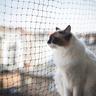 Cat Netting Balcony Pet Mesh Fence, Balcony Netting For Pets, Anti-fall Cat Net For Balcony And Windows