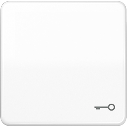 Jung Wippe Symbol TÜR aws CD 590 T WW CD590TWW Image