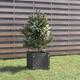 Vidaxl - Fioriera da Giardino, Flowerpot Grigia 31x31x31 cm Legno Massello di Pino
