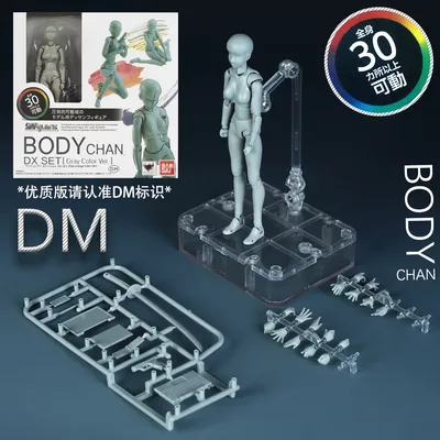 Sketch Draw Male Female Movable Body Kun Body Chan Joint Pain Anime Figure Shf Action Figure Toy
