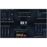 iZotope RX 11 Advanced EDU