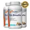 Ezi-Breathe Garlic Extract Capsules - Improve Respiratory Health, Help Clear Nasal Congestion and