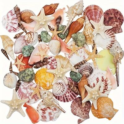 100g Assorted Beach Sea Shells & Starfish Mix - Natural Indoor Shell Ornaments For Diy Crafts, Vase Fillers, Party Decor, Fish Tank & Wedding Decorations