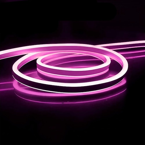 5m 10m 15m Neonstreifenlichter 600-3000 LEDs 2835 SMD Flexibel Neon 8mm 1 Stück Warmweiß Weiß Rot LED Neonlichte Draussen Wasserdicht Urlaub 220-240 V Image