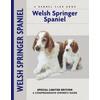 Welsh Springer Spaniel: A Comprehensive Owner's Guide