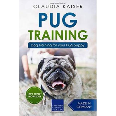 Pug Training Dog Training for your Pug puppy